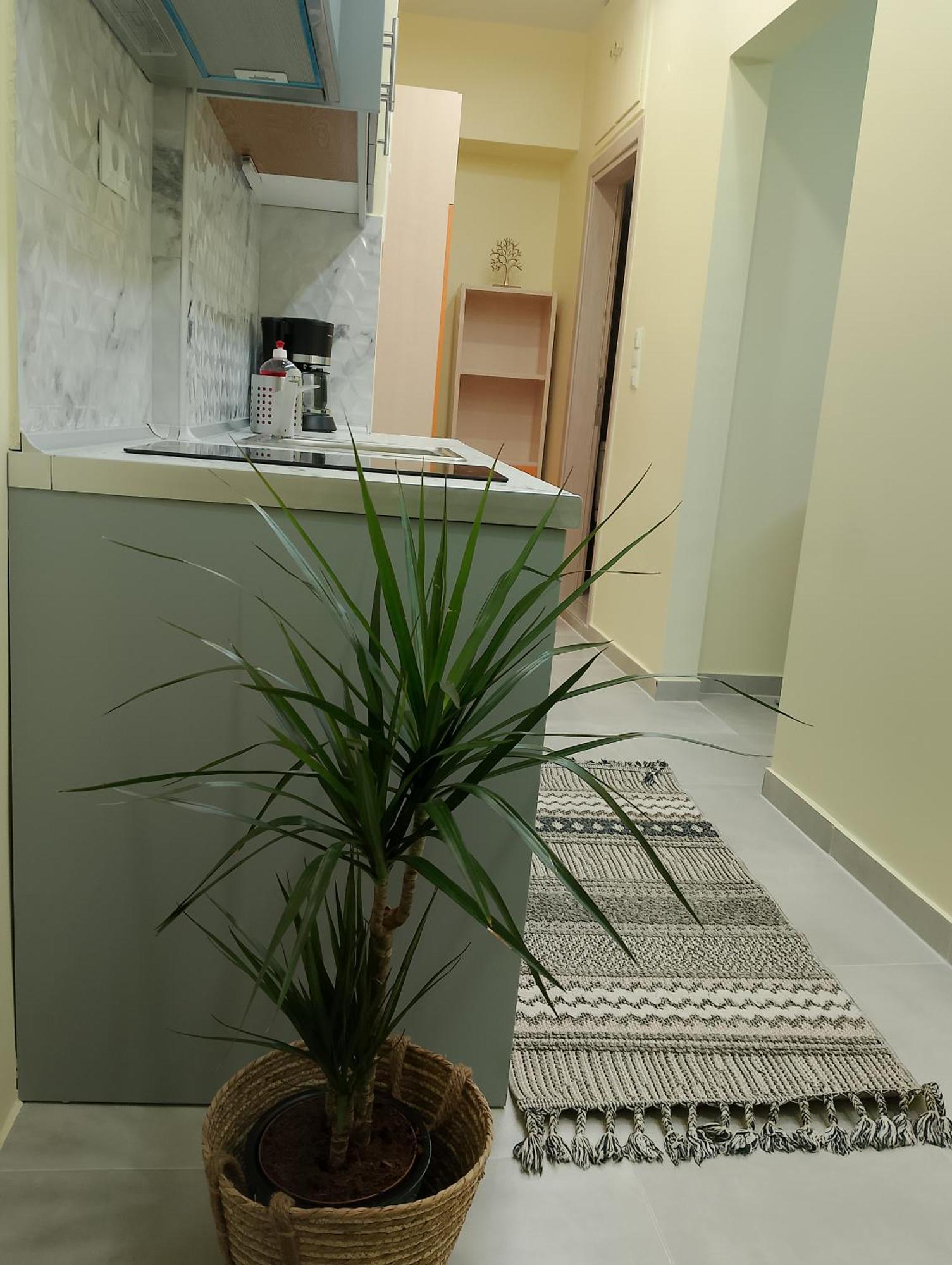 Black Eagle'S Nest Δράμα Εξωτερικό φωτογραφία